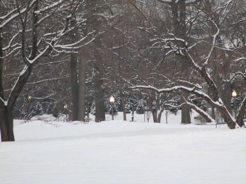 Westmount Park - Early Morning