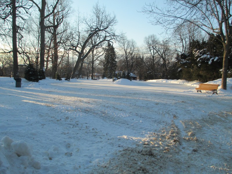 Outdoor Skating Rink - Westmount Park
