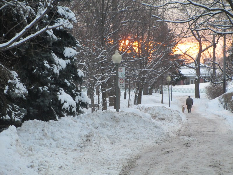 Westmount Park early morning