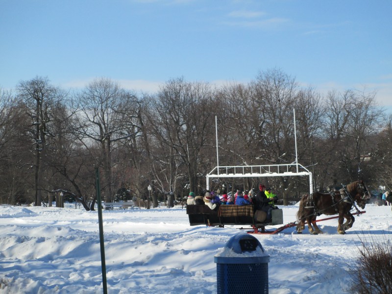 Sleigh Rides - Westmount Park