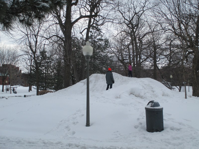 Snow Slide - Westmount Park