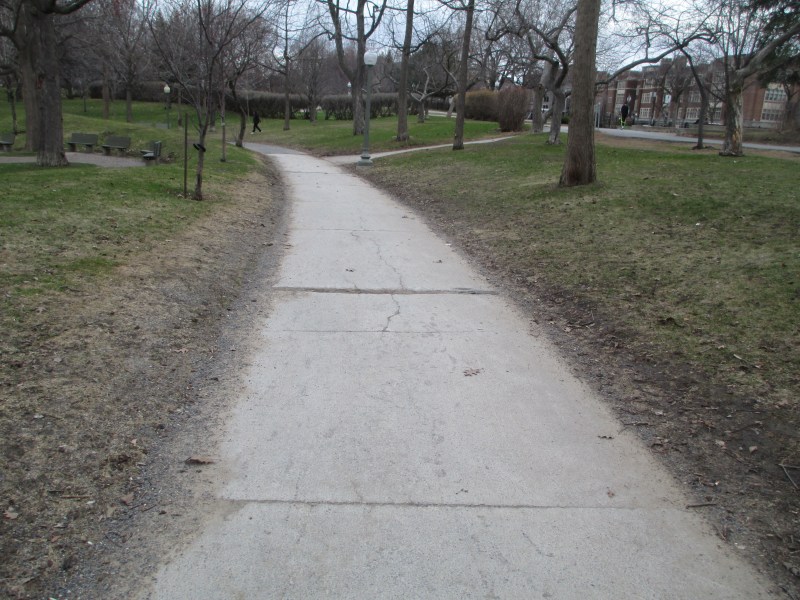 Westmount Park Walking Paths