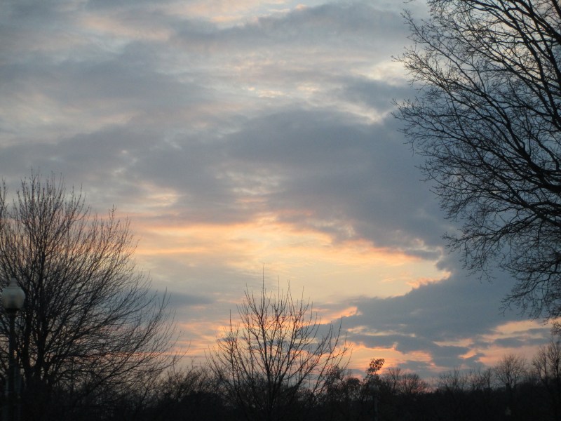 Sunset - Westmount Park