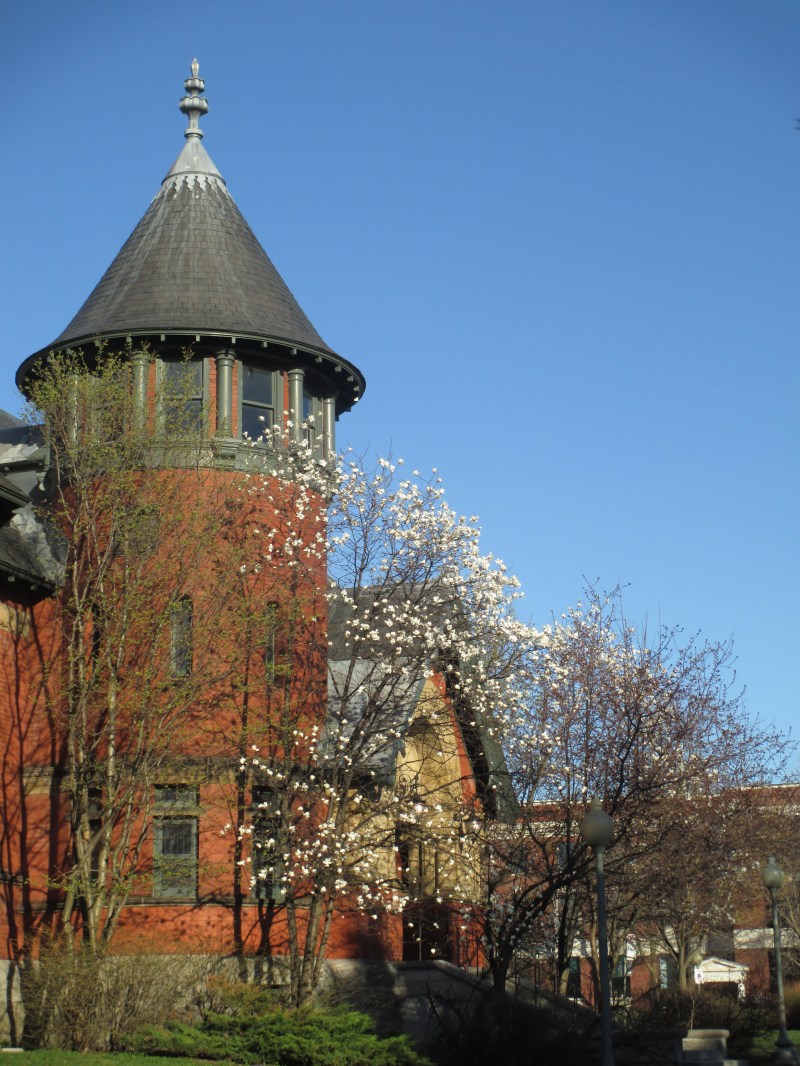 Westmount Library