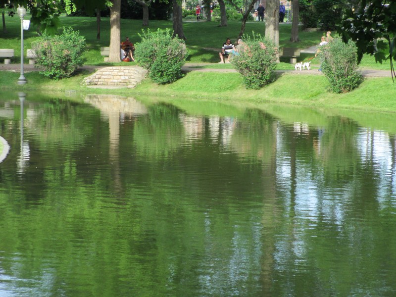 Westmount Park Lagoon